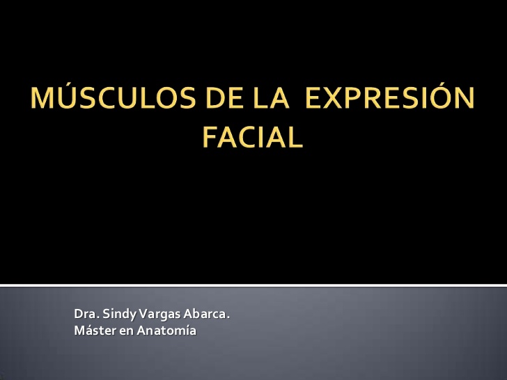 MÚSCULOS DE LA EXPRESIÓN FACIAL<br />Dra. Sindy Vargas Abarca.<br />Máster en Anatomía<br />