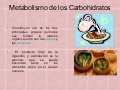Metabolismo De Carbohidratos