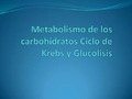 Metabolismode los carbohidratos, ciclo de krebs y glucólisis