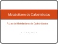 Rutas del metabolismo carbohidratos