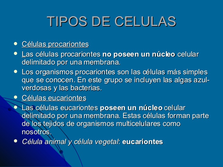 TIPOS DE CELULAS <ul><li>Células procariontes </li></ul><ul><li>L as células procariontes  no poseen un núcleo  celular de...