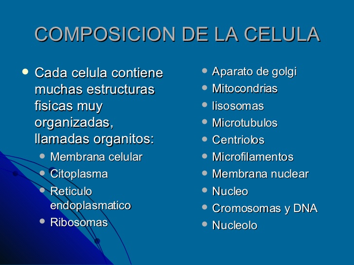 COMPOSICION DE LA CELULA <ul><li>Cada celula contiene muchas estructuras fisicas muy organizadas, llamadas organitos: </li...