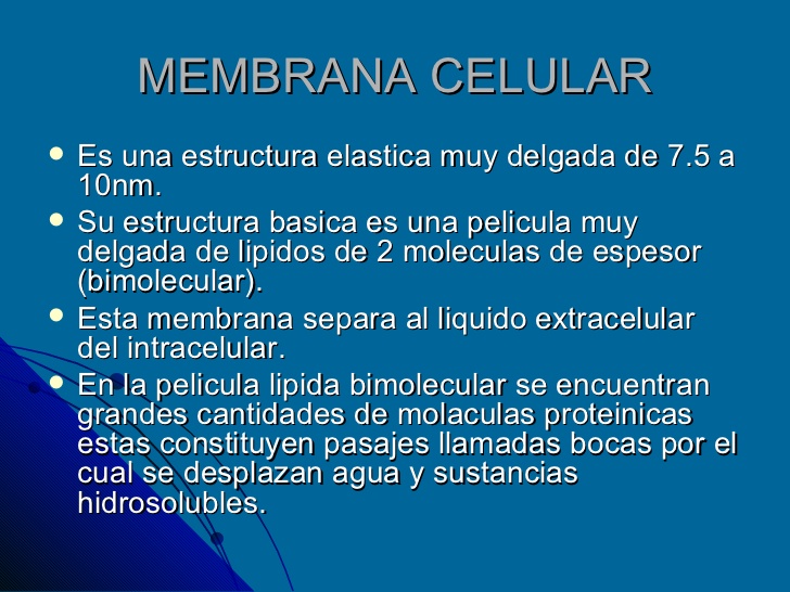 MEMBRANA CELULAR <ul><li>Es una estructura elastica muy delgada de 7.5 a 10nm. </li></ul><ul><li>Su estructura basica es u...