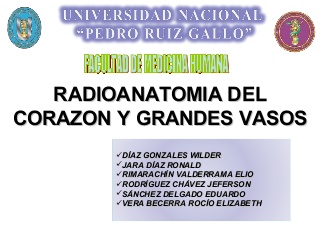 Radioanatomia Del Corazon Y Grandes Vasos