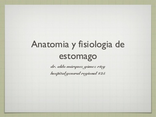 Anatomia y Fisiologia de Estomago