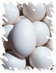 huevos.jpg (3077 bytes)