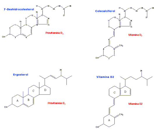 Provitaminas D2 y D3; Vitaminas D2 y D3