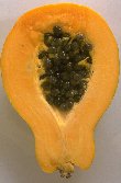 Papaya